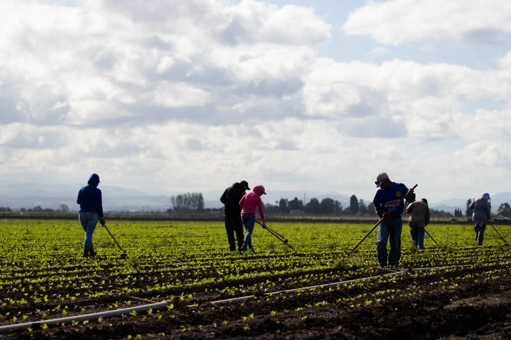 Bay Area immigration lawyers assail Trump administration moves against migrants – The Mercury News