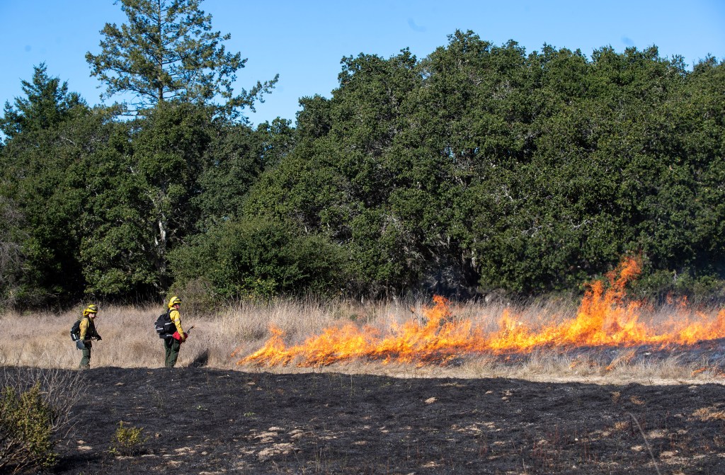 California spends $180 million more on wildfire prevention