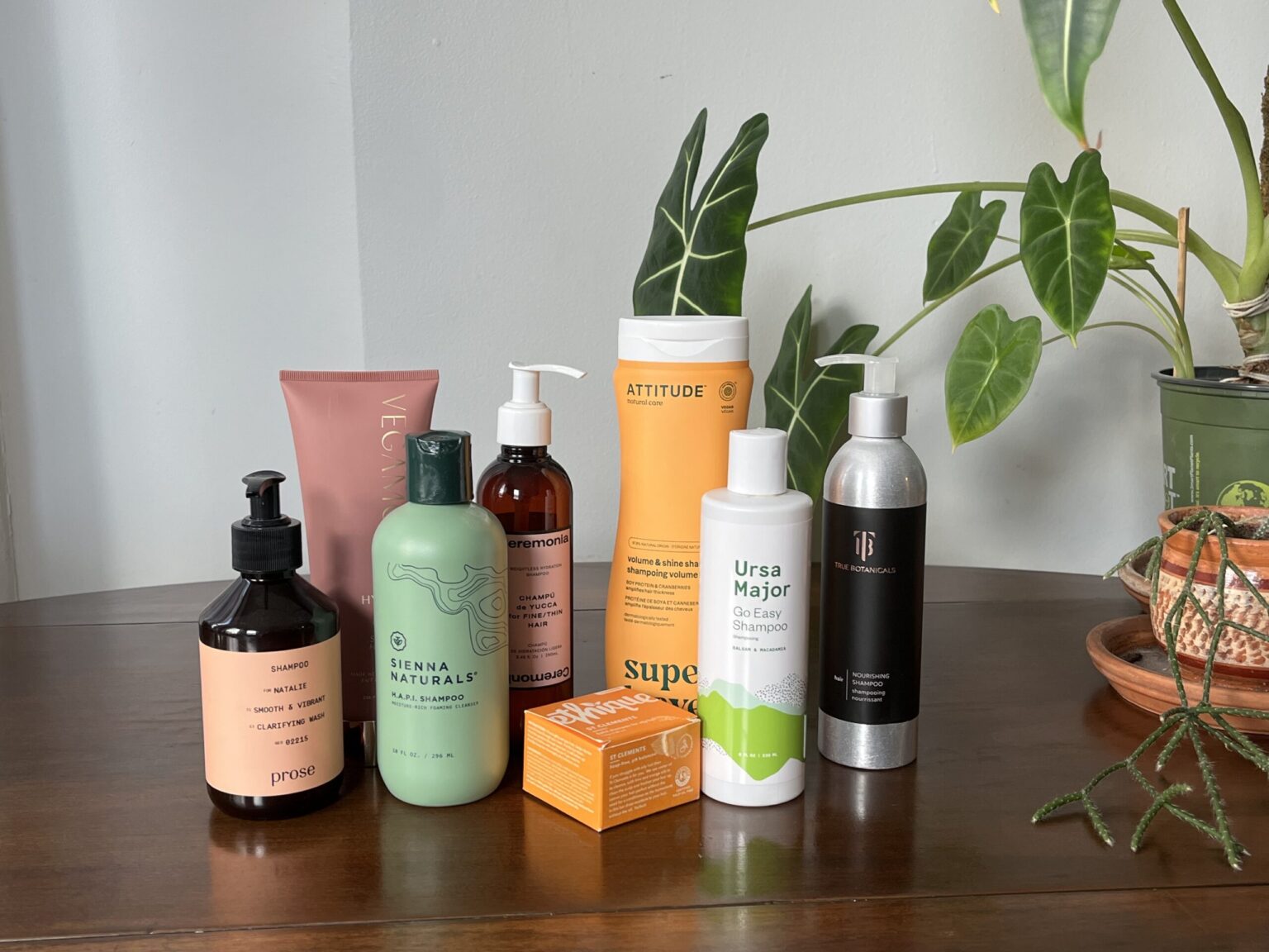 Clean Beauty Boom: Top Organic USA Cosmetic Brands in 2025